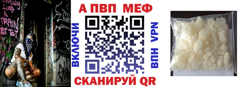 OMG ONION  Богородицк  А ПВП СК КРИС 