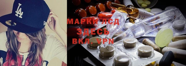 мяу мяу мука Белокуриха