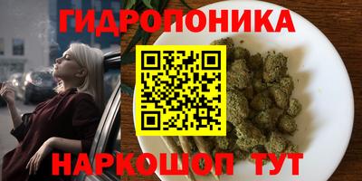 spice Бийск