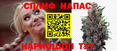 apvp Беслан