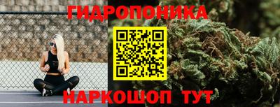 apvp Беслан