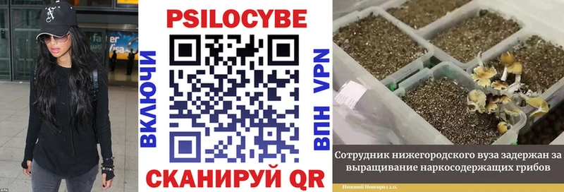 Галлюциногенные грибы MAGIC MUSHROOMS  закладка  Богородицк 